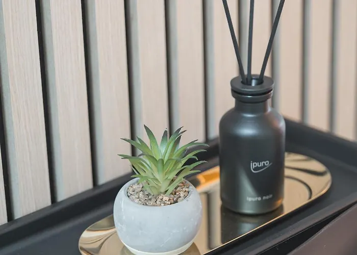 Apartamento Cozy Stilvolles Apartment, Naehe Basf, Bg Klinik